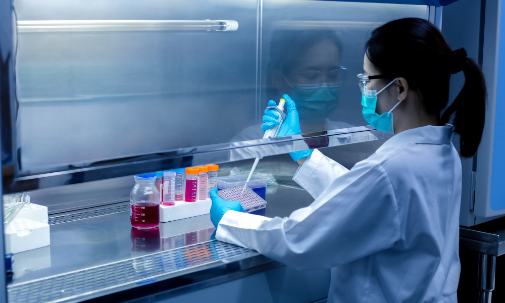 Walk-in scale-up fume hood